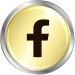 Facebook Icon